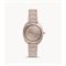  FOSSIL CE1110 Watches