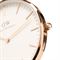 Men's Women's DANIEL WELLINGTON DW00100039 Watches