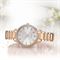  Women's CITIZEN FE7043-55A Classic Fashion Watches