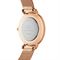  Women's DANIEL WELLINGTON DW00100470 Watches