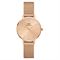  Women's DANIEL WELLINGTON DW00100470 Watches