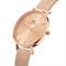  Women's DANIEL WELLINGTON DW00100470 Watches