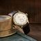 Men's ORIENT RA-AP0106S Classic Watches