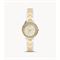  Women's FOSSIL ES5138 Fashion Watches