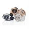  Women's CASIO MSG-C100G-7A Watches